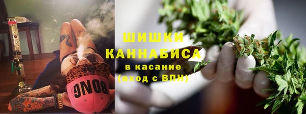 Альфа ПВП Белокуриха