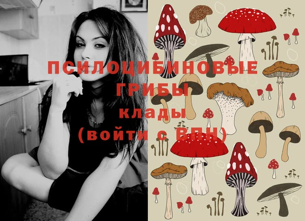 Альфа ПВП Белокуриха