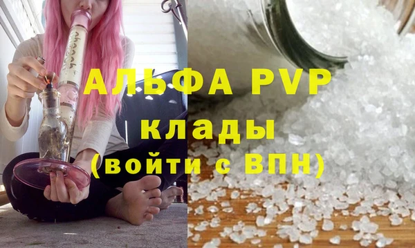Альфа ПВП Белокуриха