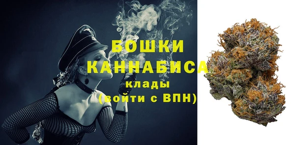 прущие крисы Беломорск