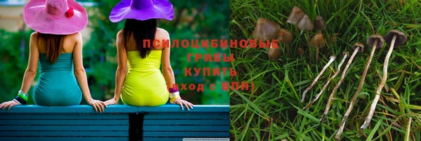 прущие крисы Беломорск